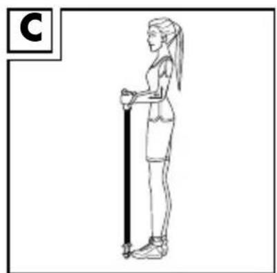 CRIVIT IAN 373915 - - Marcher sur un terrain plat (Fig. C/D) - 1