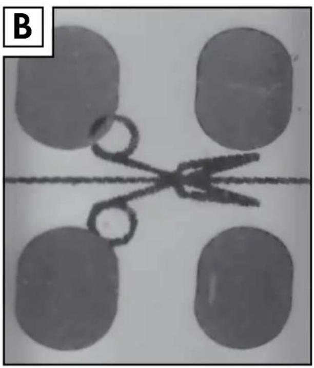 Livarno Lux IAN 315487 - PL - 6