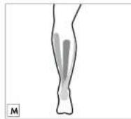 Sensiplast IAN 330530 - KINESIOLOGIE-TAPES KINESIOLOGY TAPE BANDES DE KINÉSIOLOGIE - 10