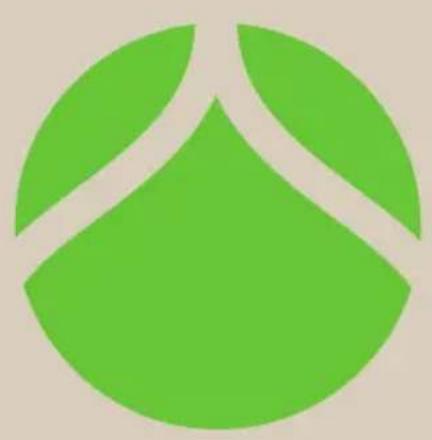 Blumfeldt Tulip - Pulizia - 2