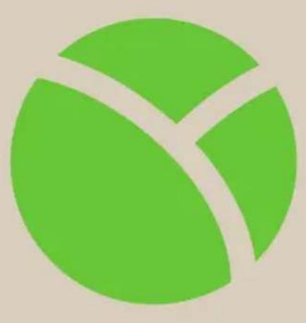 Blumfeldt Tulip - Pulizia - 1