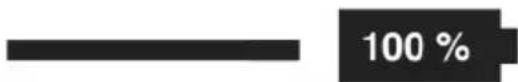 Storch 57 01 95 - Charging the battery pack - 2