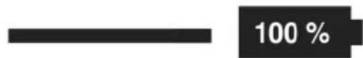 Storch 57 01 95 - Ricarica del pacco batteria - 2