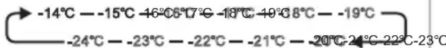 SIBIR GSN 20010 - TEMP°C - 1