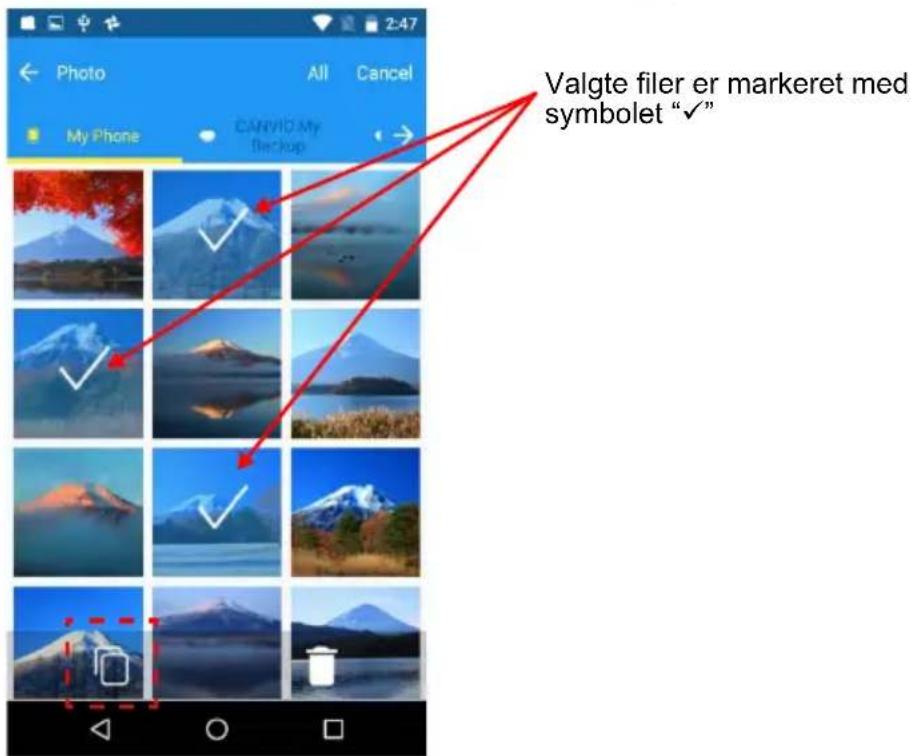 TOSHIBA Canvio for Smartphone - Tryk på knappen Vælg - 2
