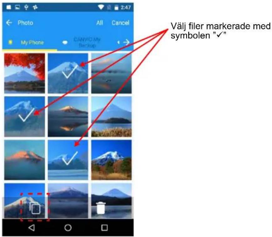 Välj filer markerade med symbolen "✓"