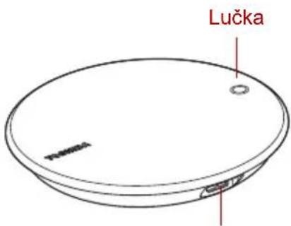Lučka