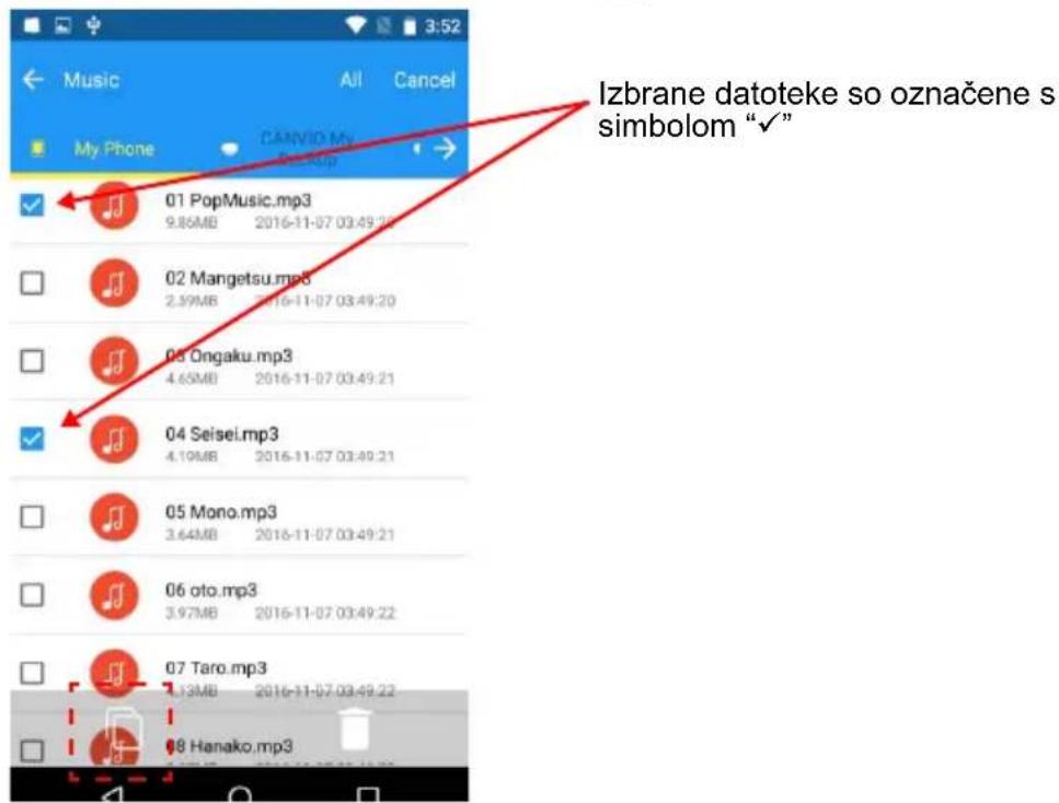 Izbrane datoteke so označene s simbolom "✓"
