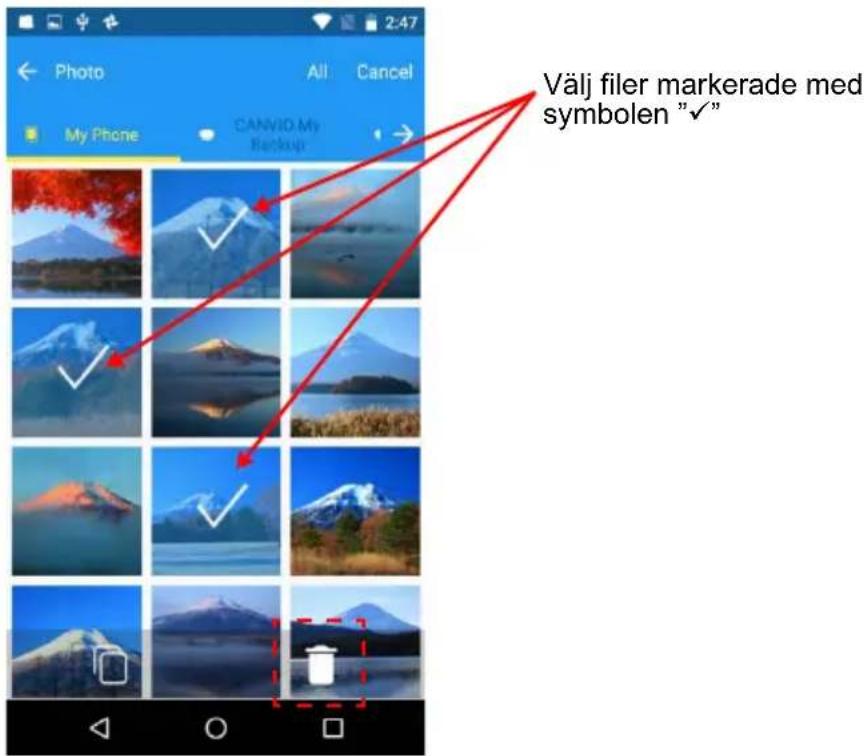Välj filer markerade med symbolen "✓"