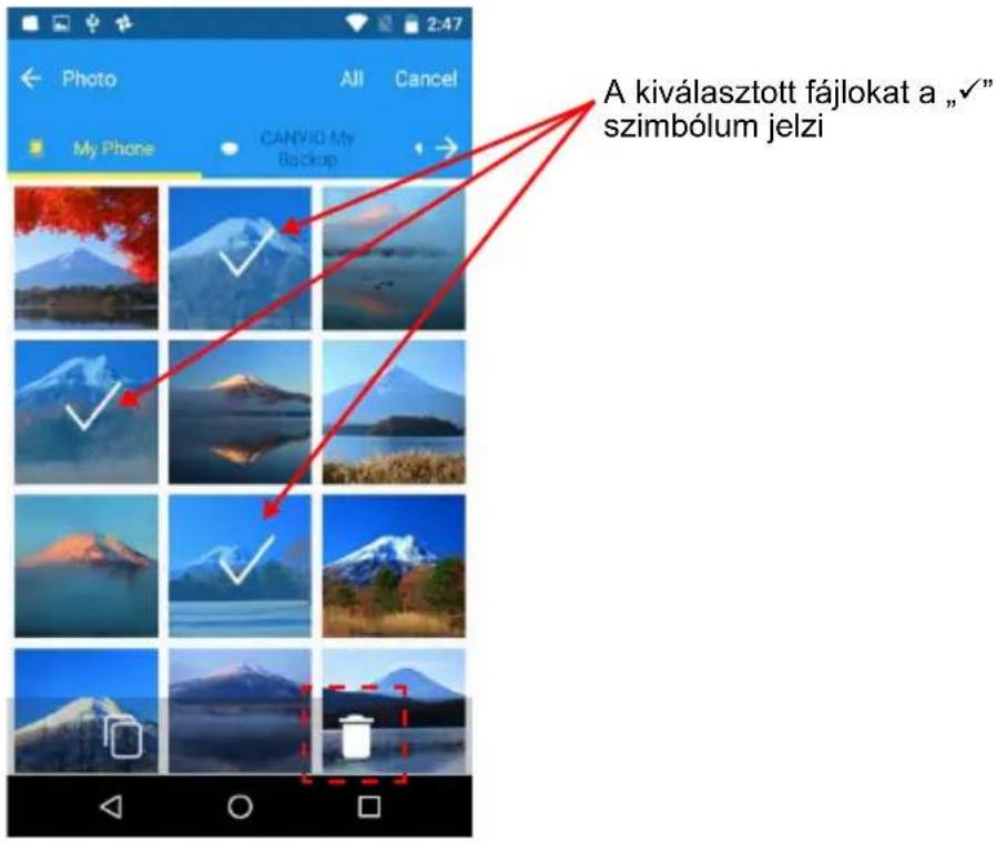A kiválasztott fájlokat a „√” szimbólum jelzi