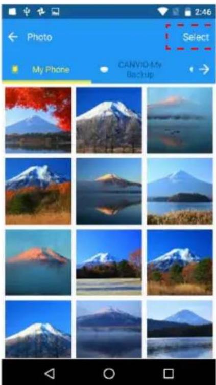 Photo My Phone CANV10-My Backup Select