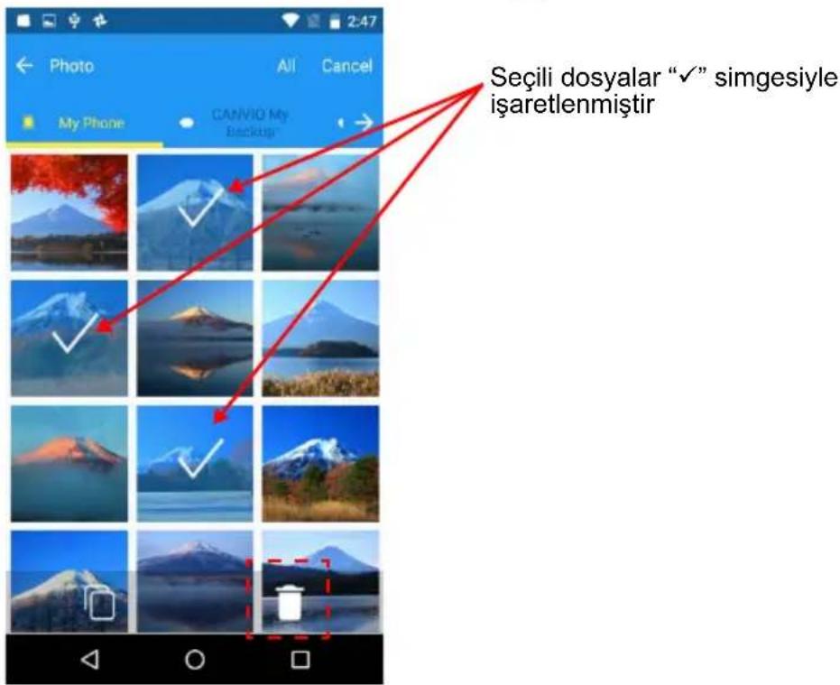 Seçili dosyalar "✓" simgesiyle işaretlenmişir