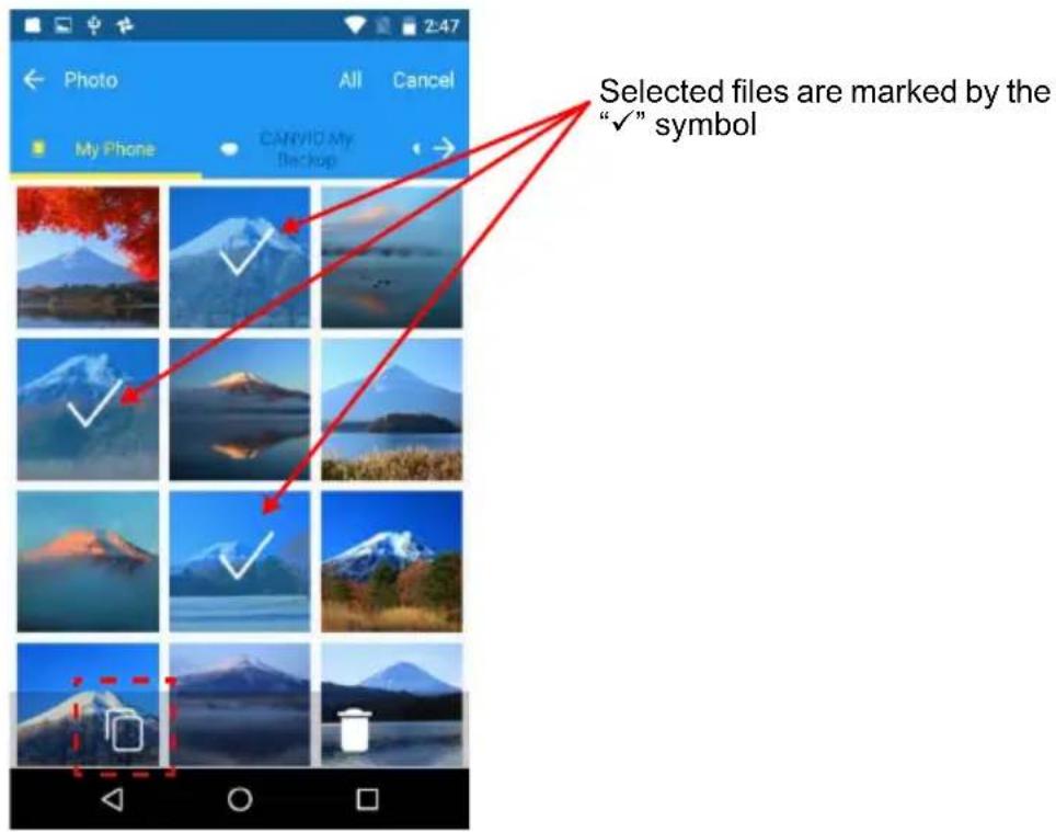 Selected files are marked by the "✓" symbol