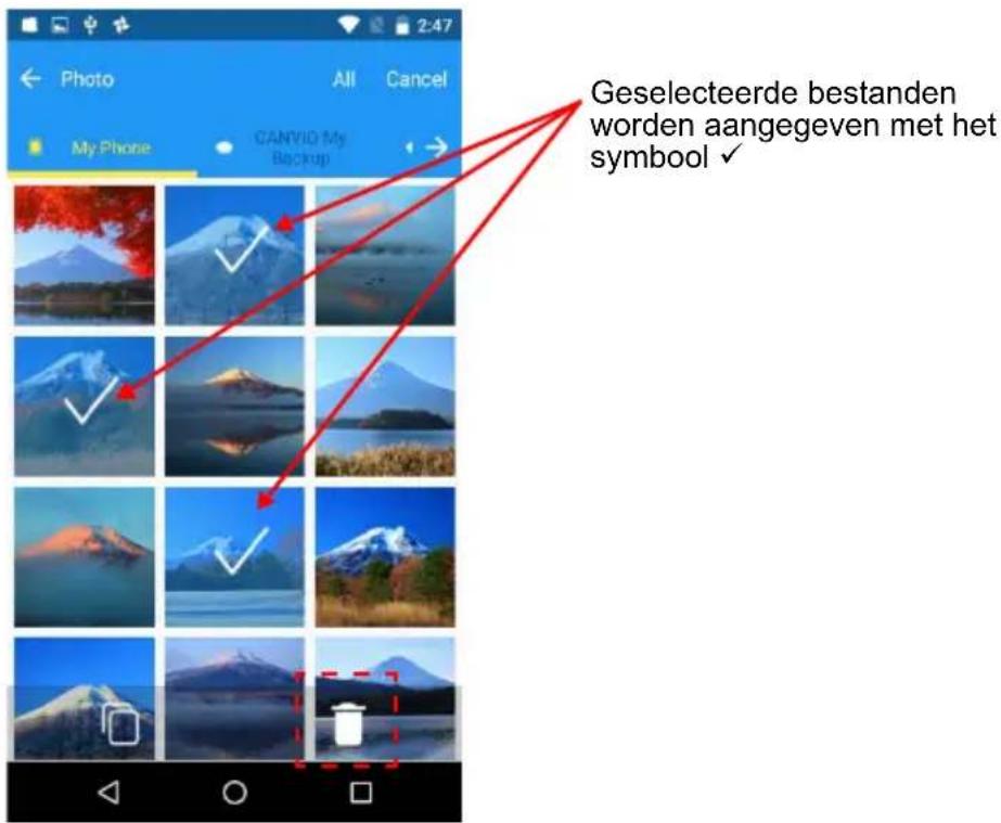 Geselecteerde bestanden worden aangegeven met het symbool ✓