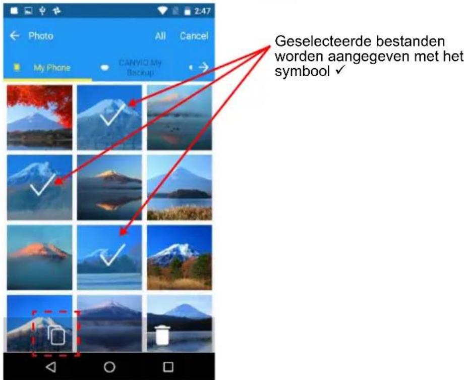 Geselecteerde bestanden worden aangegeven met het symbool ✓