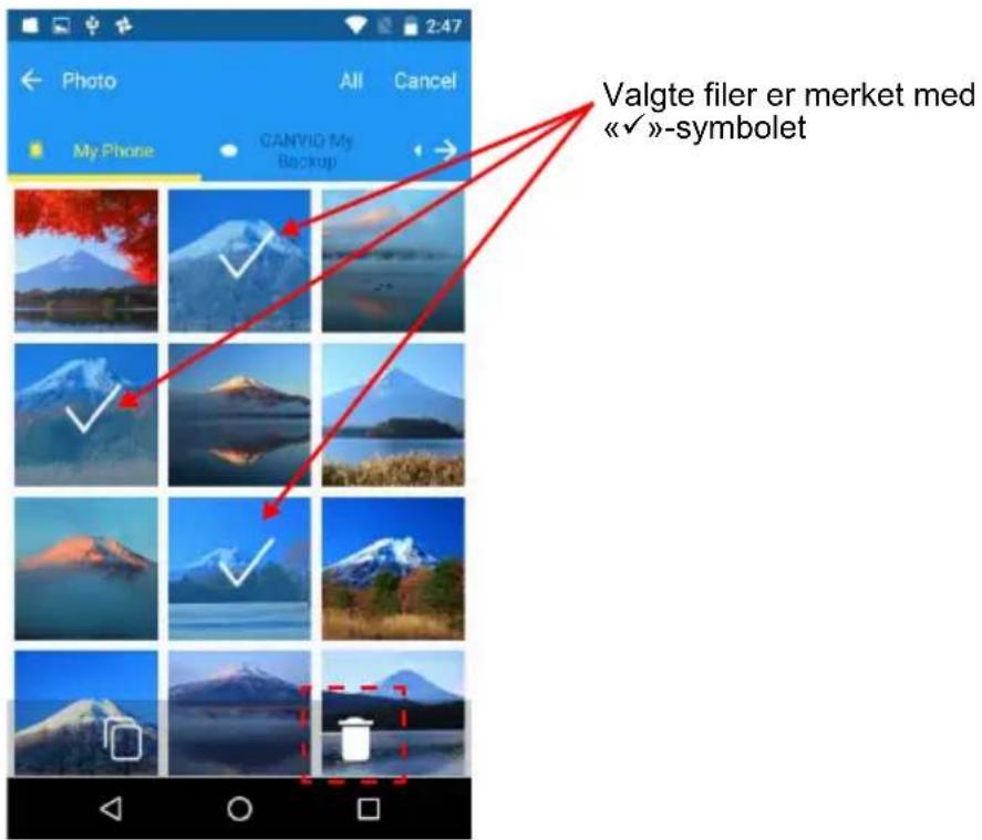 TOSHIBA Canvio for Smartphone - Trykk på miniatyrbilder for å velge målfiler. - 1