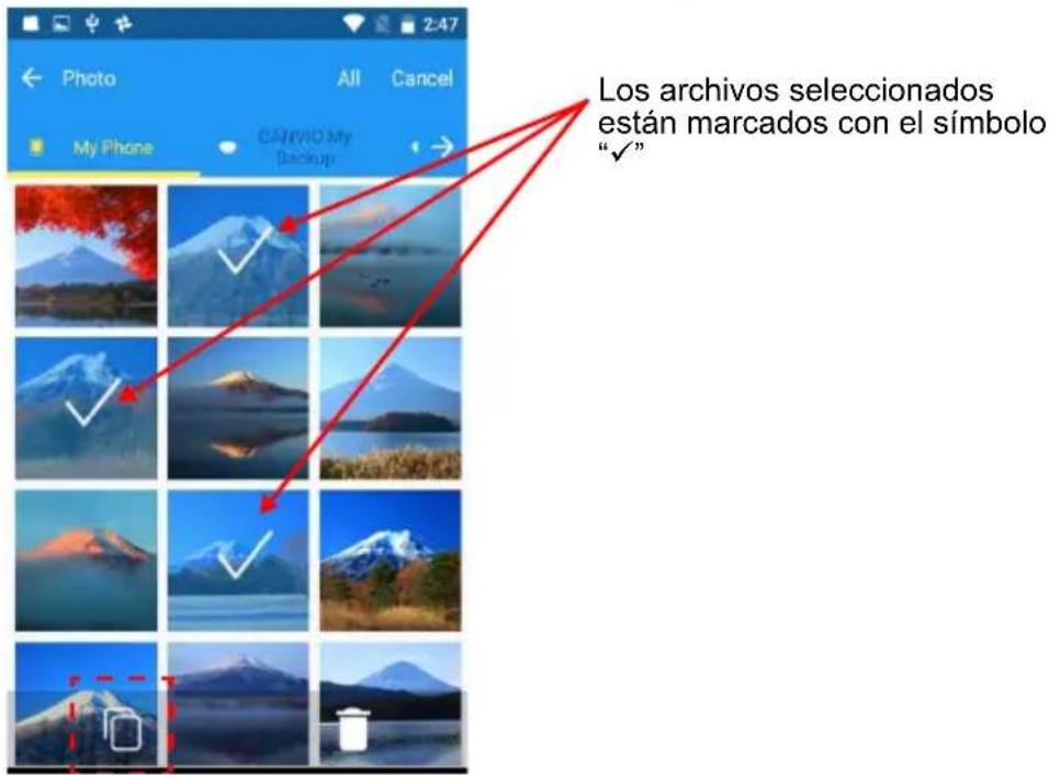 Los archivos seleccionados están marcados con el símbolo "✓"