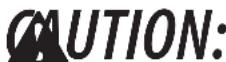 Craftsman CMESTHOS912 - Additional Safety Information - 7