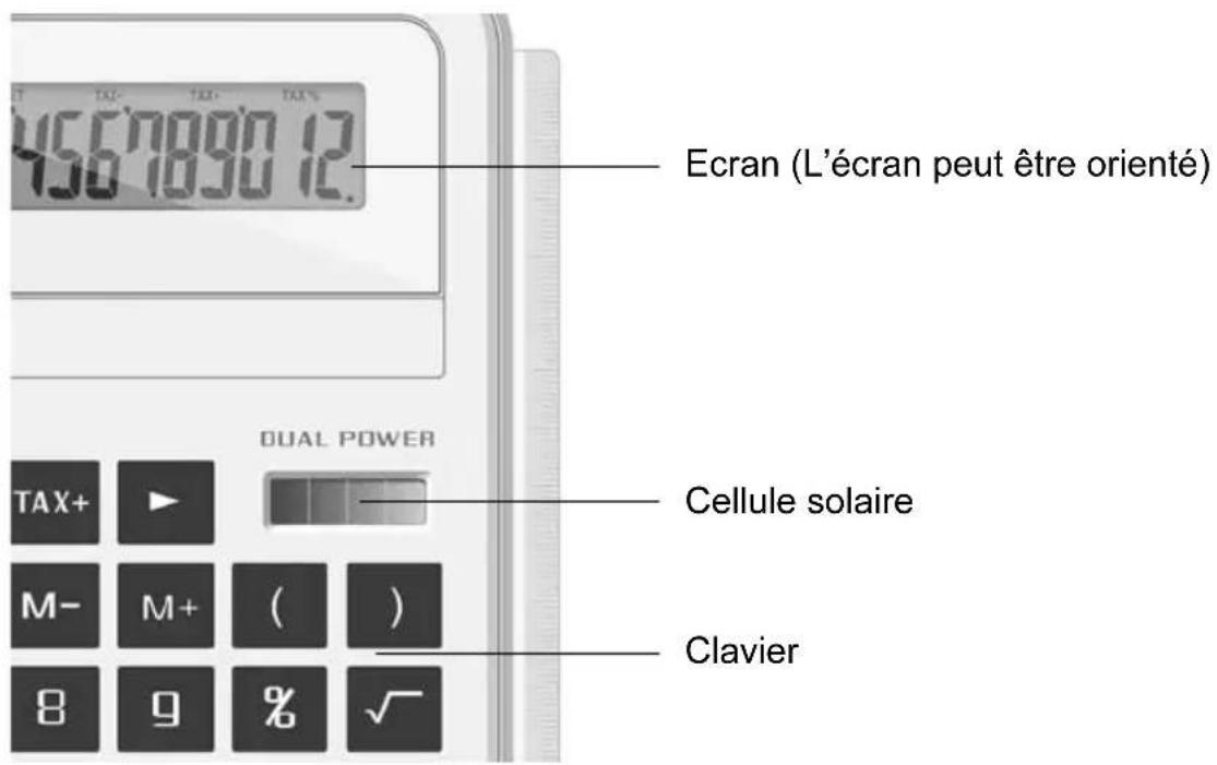 GlobalTronics D22 - ■Description de l'appareil - 1