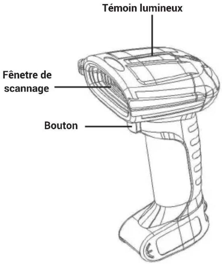 Témoin lumineux Fênette de scannage Bouton