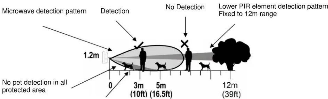 DSC LC171 - Detection Pattern - 2