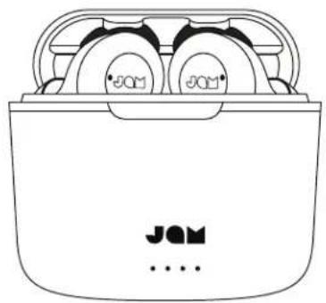 JAM TWS ANC HXEP925 - BENUTZEN IHRES TRAGBAREN LADEBEHÄLTERS - 1