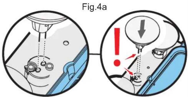 Fig.4a