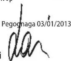 Pegognaga 03/01/2013