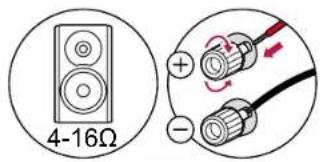 PIONEER Elite VSXLX305 - Branchements d'enceinte - 2
