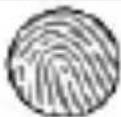 myPhone Prime 3 - Lieferumfang - 10