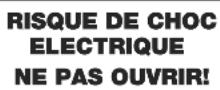 GEMINI PS626EFX - AVANT TOUTE UTILISATION DE L'APPAREIL, MERCI DE PRENDRE CONNAISSANCE DES INSTRUCTIONS D'UTILISATION & DE SECURITE! RISQUE DE CHOC ELECTRIQUE, NE PAS OUVRIR! - 5