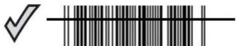 ZEBRA Symbol LS2208 - Lecture - 1