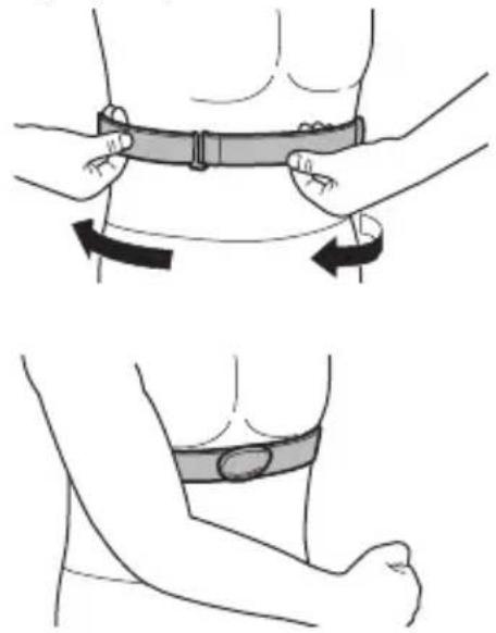 PIONEER SGYHR500 - Place the electrode pad against the chest. - 1