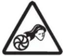 Sun Joe SBJ606EGA - Safety Symbols - 9