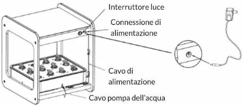 Blumfeldt Urban Bamboo - Piantare con semi - 6