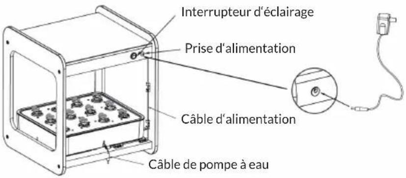 Blumfeldt Urban Bamboo - Plantation avec des graines - 6