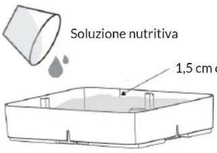 Blumfeldt Urban Bamboo - 1º passaggio: preparare la soluzione nutritiva - 1