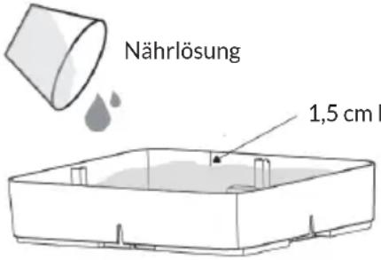 Blumfeldt Urban Bamboo - Schritt 1: Vorbereitung der Nährlösung - 1