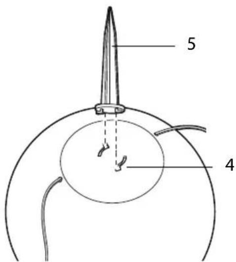 LightZone GTSBLB01 - Préparer les lumières - 1