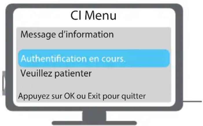 METRONIC Camsat HD 441652 - Authentication du module cl + à la mise en route - 2