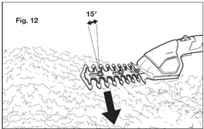 Sun Joe HJ604CSJB - Conseils pour la taille - 1