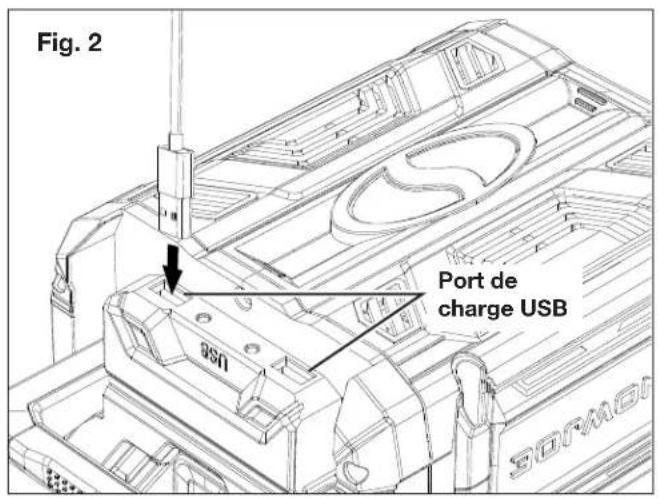 Sun Joe ION100V21LM - Port de charge USB - 1