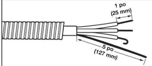 WHIRLPOOL YWED5100HC - Préparer le cable à 4 fils pour un raccordement direct - 1