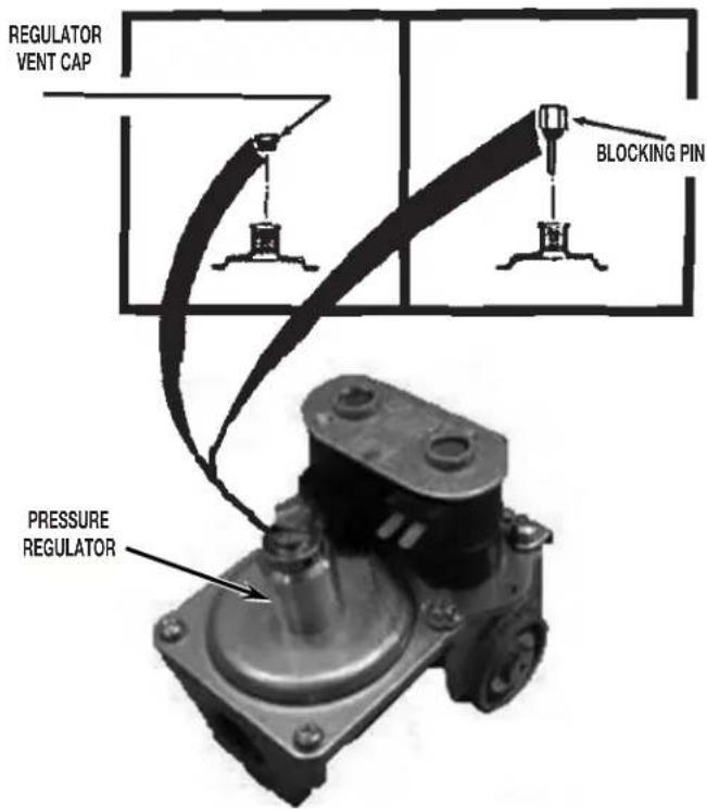 WHIRLPOOL W10606694A - STYLE “A” GAS VALVE CONVERSION - 1