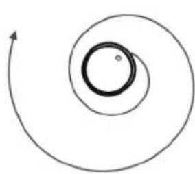 TAURUS Homeland Gyro - MODALITA PULIZIA A SPIRALE - 1