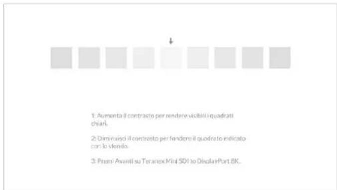 Blackmagic Design Teranex Mini 1 - Avviare la calibrazione - 6
