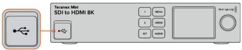 Blackmagic Design Teranex Mini 1 - Connecting the Calibration Probe - 1