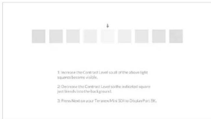 Blackmagic Design Teranex Mini 1 - Starting the Calibration Process - 6