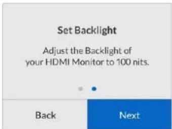 Blackmagic Design Teranex Mini 1 - Starting the Calibration Process - 9