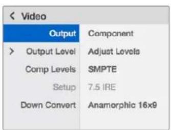 Blackmagic Design Teranex Mini 1 - Il menu impostazioni di Teranex Mini Smart Panel - 1